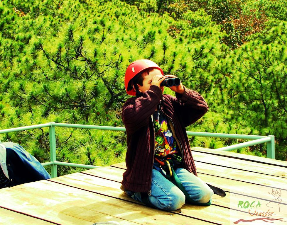 Rocavenados Mascota Bagian luar foto