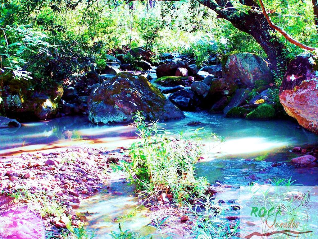 Rocavenados Mascota Bagian luar foto